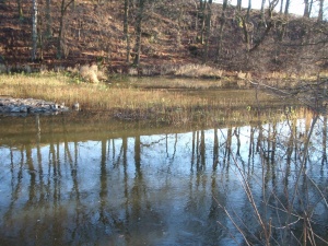 Rekonstrukce Kulíkova rybníka v k.ú. Pelhřimov